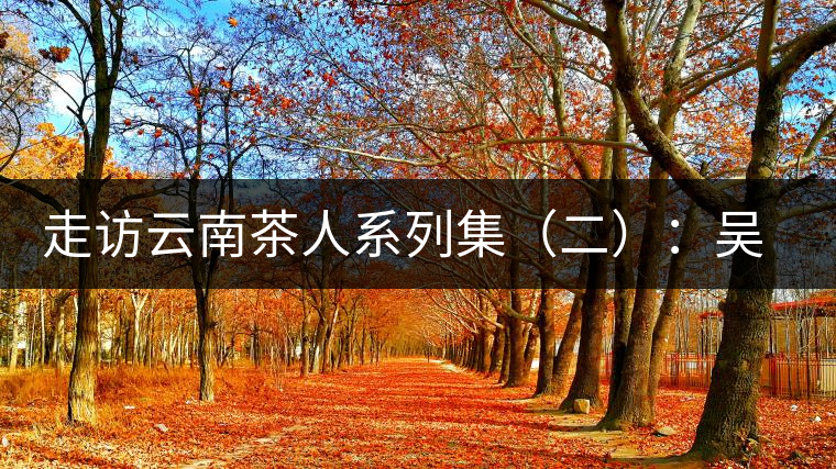 走訪(fǎng)云南茶人系列集（二）：吳覺(jué)農(nóng)的云南弟子——彭承鑑