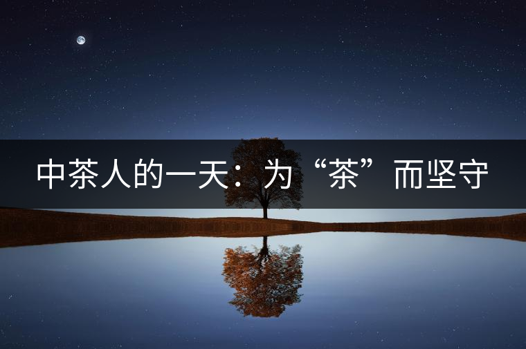 中茶人的一天：為“茶”而堅(jiān)守