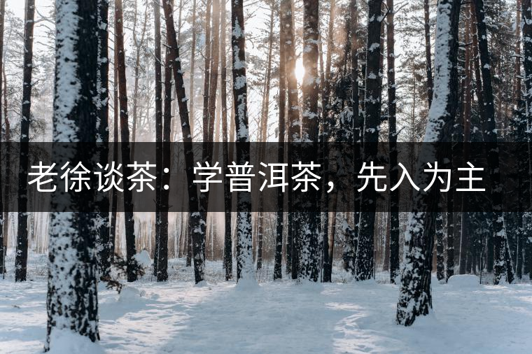 老徐談茶：學(xué)普洱茶，先入為主易被打臉，還得實(shí)踐出真知！