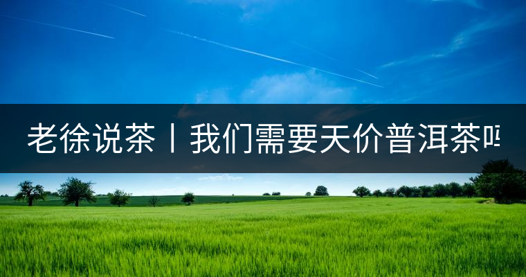 老徐說茶丨我們需要天價普洱茶嗎？