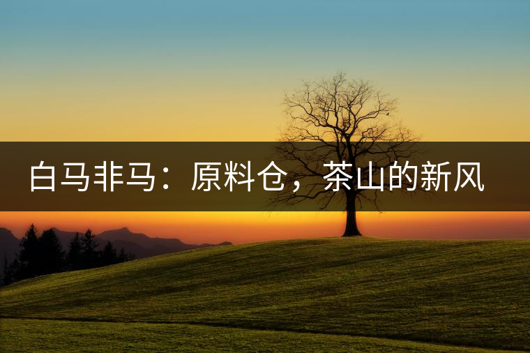 白馬非馬：原料倉，茶山的新風(fēng)景