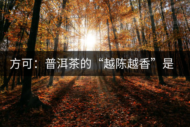 方可：普洱茶的“越陳越香”是有條件、有技術的