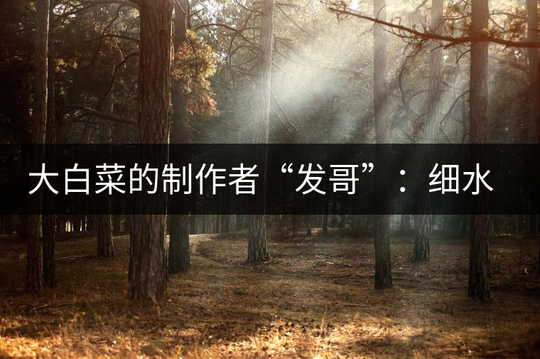 大白菜的制作者“發(fā)哥”：細(xì)水長流，做茶“急不得”