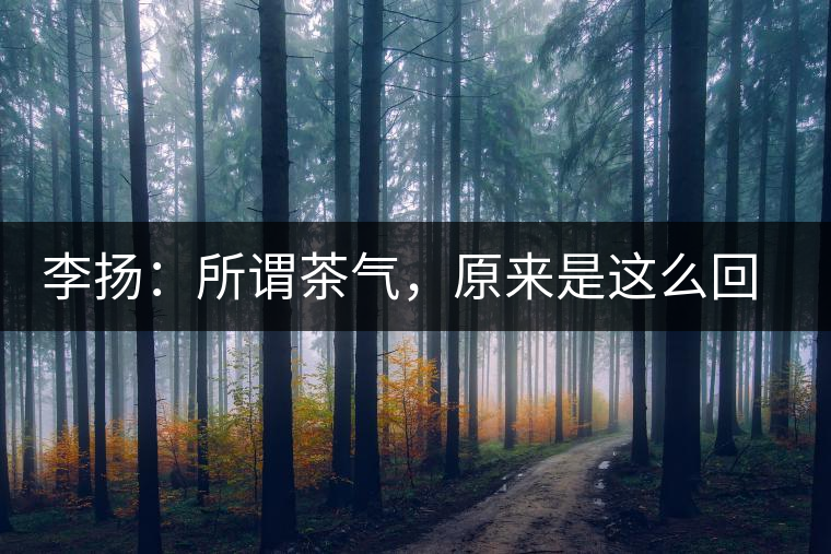 李揚：所謂茶氣，原來是這么回事