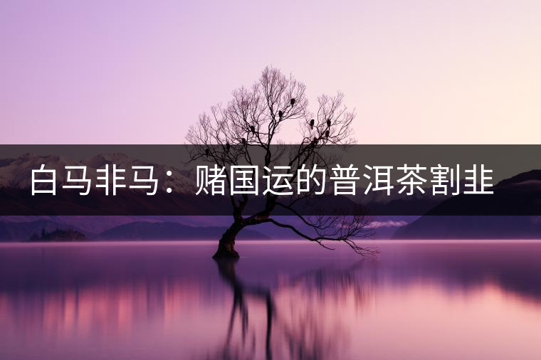 白馬非馬:賭國(guó)運(yùn)的普洱茶割韭菜運(yùn)動(dòng) 白馬非馬:賭國(guó)運(yùn)的普洱茶割韭菜運(yùn)動(dòng)