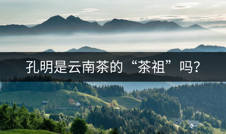 孔明是云南茶的“茶祖”嗎？
