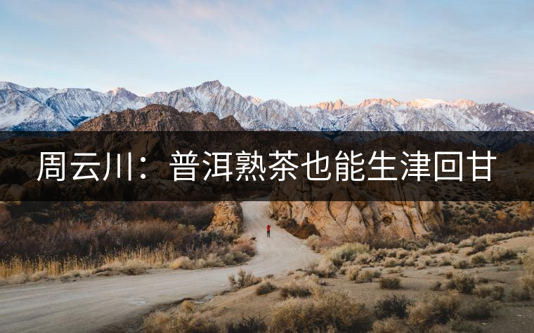 周云川:普洱熟茶也能生津回甘 周云川:普洱熟茶也能生津回甘