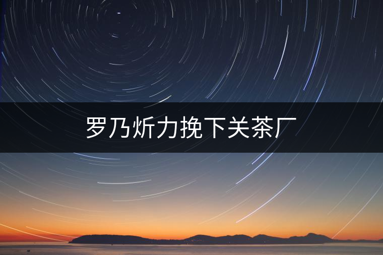 羅乃炘力挽下關茶廠