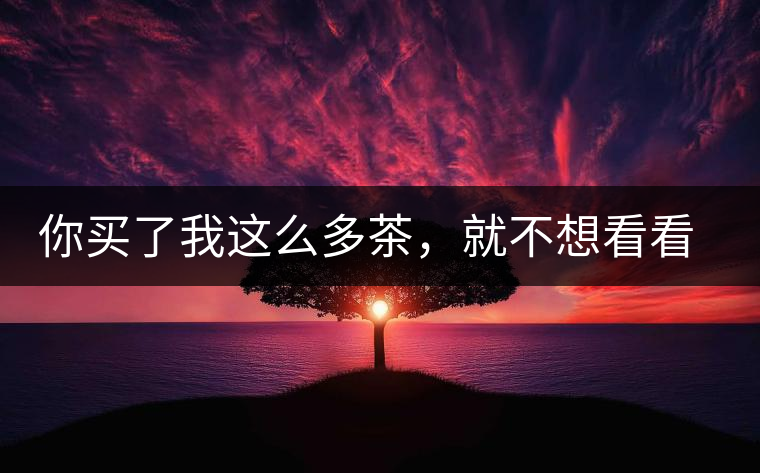 你買(mǎi)了我這么多茶，就不想看看我長(zhǎng)什么樣？