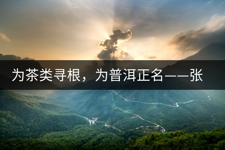 為茶類尋根，為普洱正名——張宏達(dá)的普洱茶研究