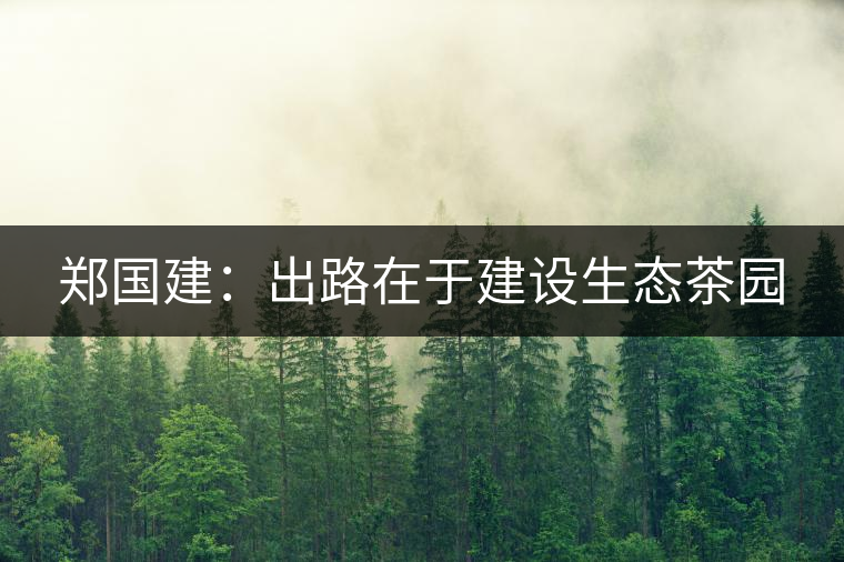 鄭國建:出路在于建設(shè)生態(tài)茶園 鄭國建:出路在于建設(shè)生態(tài)茶園
