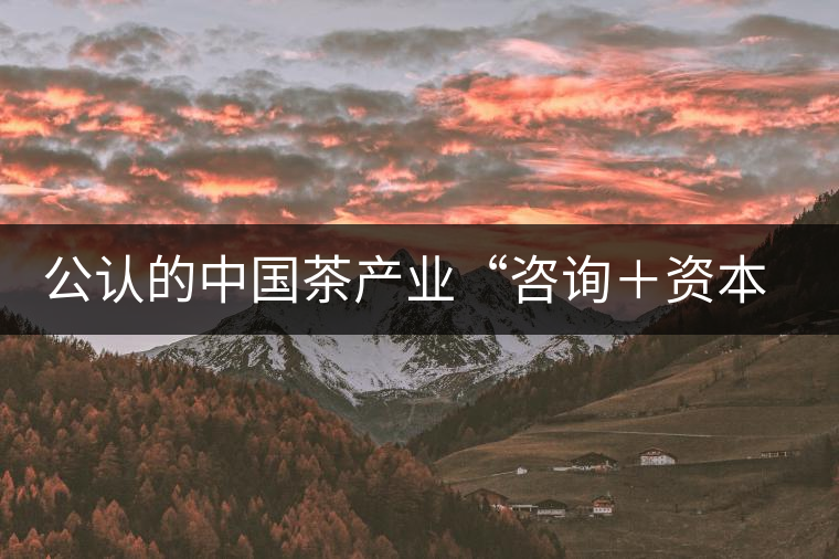 公認(rèn)的中國(guó)茶產(chǎn)業(yè)“咨詢+資本”第一人:蔣同 公認(rèn)的中國(guó)茶產(chǎn)業(yè)“咨詢+資本”第一人:蔣同