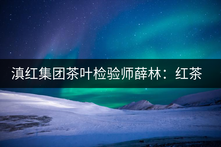 滇紅集團茶葉檢驗師薛林:紅茶的不解之緣 滇紅集團茶葉檢驗師薛林:紅茶的不解之緣