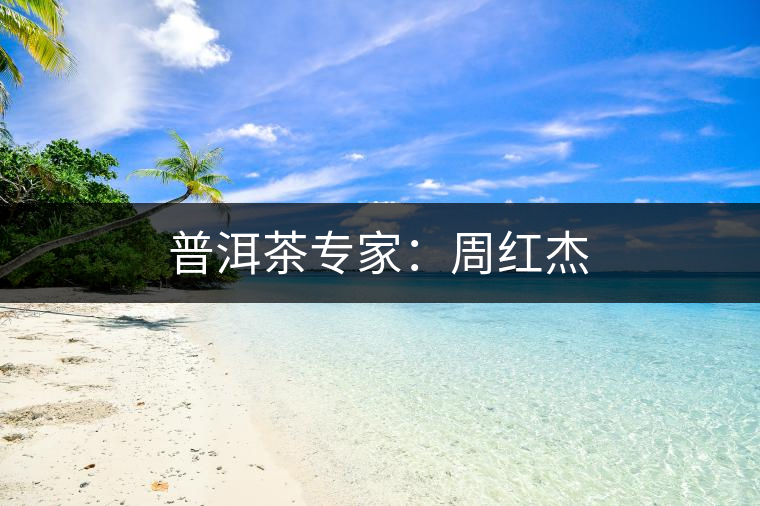 普洱茶專家:周紅杰 普洱茶專家:周紅杰