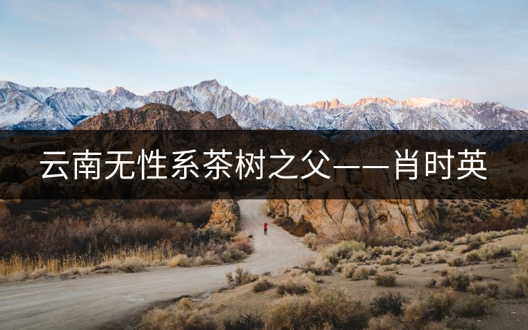 云南無(wú)性系茶樹(shù)之父——肖時(shí)英 云南無(wú)性系茶樹(shù)之父——肖時(shí)英