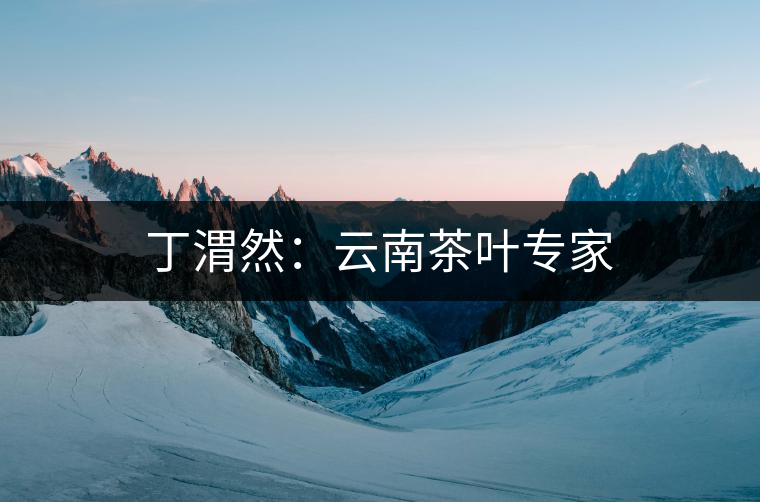 丁渭然：云南茶葉專家