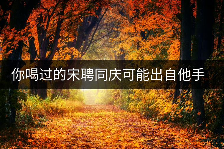 你喝過(guò)的宋聘同慶可能出自他手，他還發(fā)明了普洱熟茶！