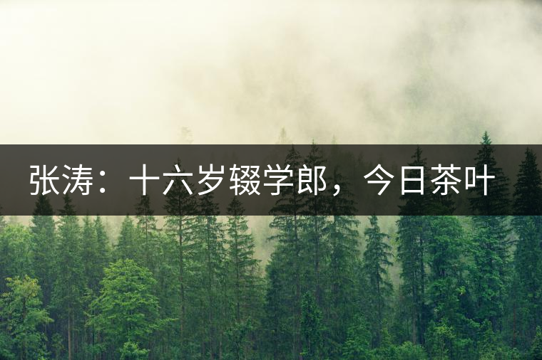 張濤：十六歲輟學(xué)郎，今日茶葉中堅
