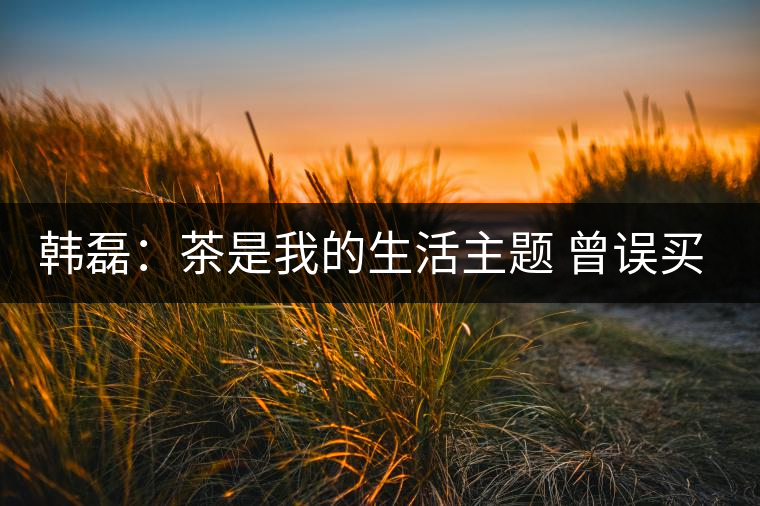 韓磊：茶是我的生活主題 曾誤買假紫砂