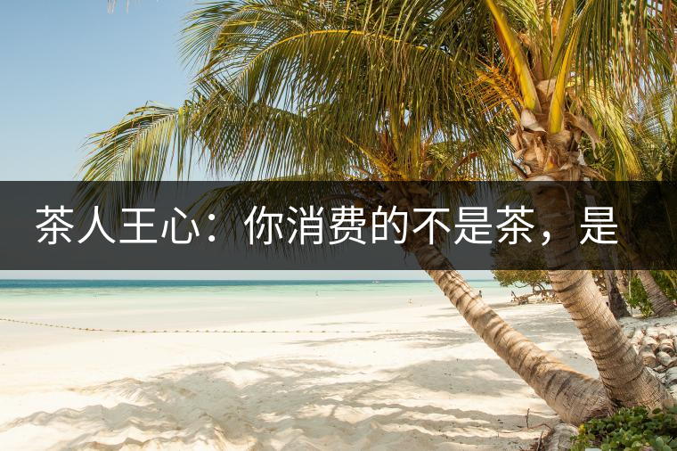 茶人王心：你消費的不是茶，是我