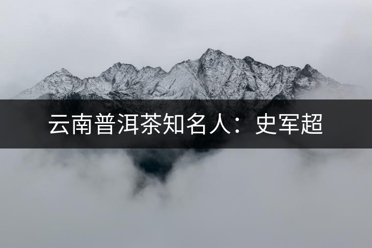 云南普洱茶知名人:史軍超 云南普洱茶知名人:史軍超