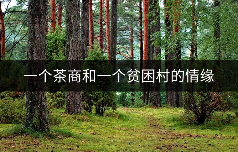 一個茶商和一個貧困村的情緣