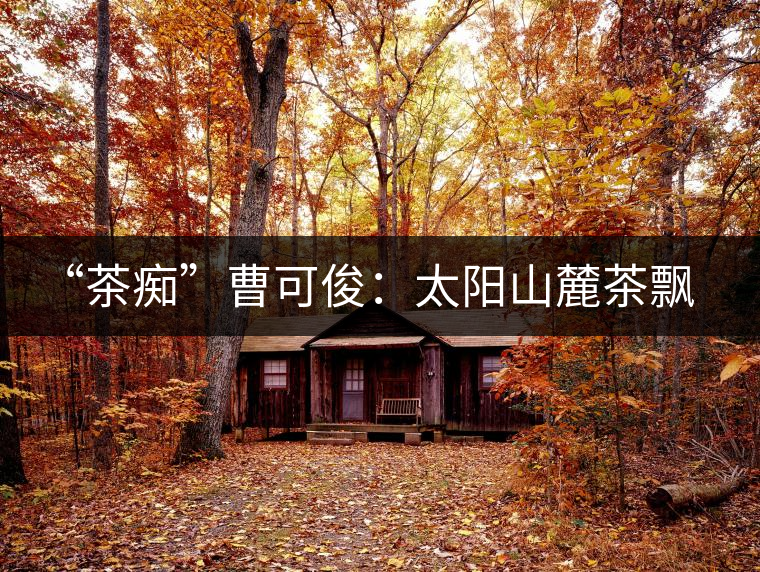 “茶癡”曹可?。禾?yáng)山麓茶飄香，清明時(shí)節(jié)采茶忙