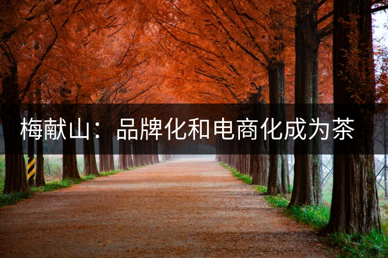 梅獻(xiàn)山：品牌化和電商化成為茶產(chǎn)業(yè)的第三個轉(zhuǎn)機(jī)