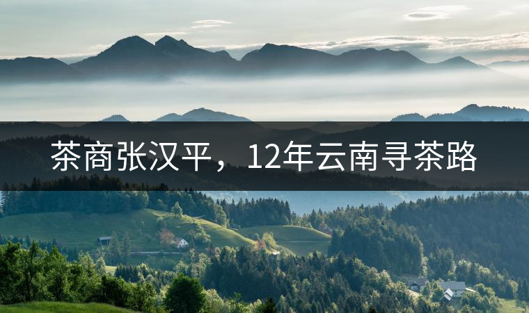 茶商張漢平，12年云南尋茶路