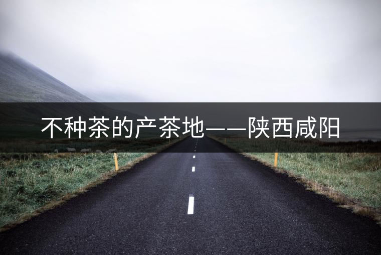 不種茶的產(chǎn)茶地——陜西咸陽(yáng)