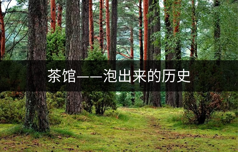 茶館——泡出來的歷史