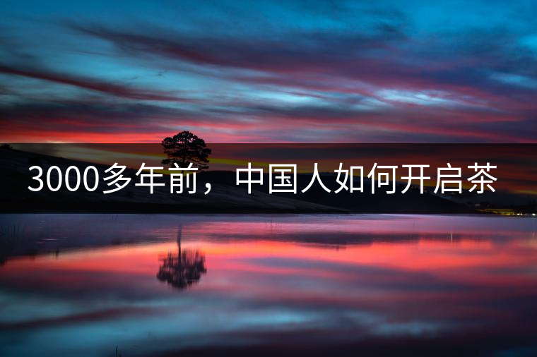 3000多年前，中國人如何開啟茶生活？