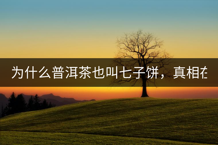 為什么普洱茶也叫七子餅，真相在這里！