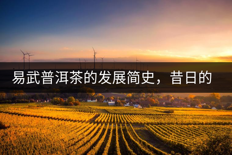 易武普洱茶的發(fā)展簡(jiǎn)史，昔日的貢茶如今依然輝煌