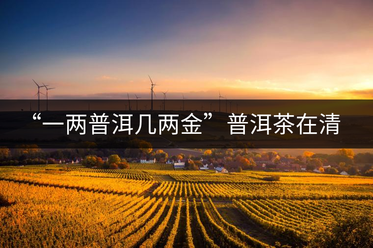 “一兩普洱幾兩金”普洱茶在清代為啥這么火？！