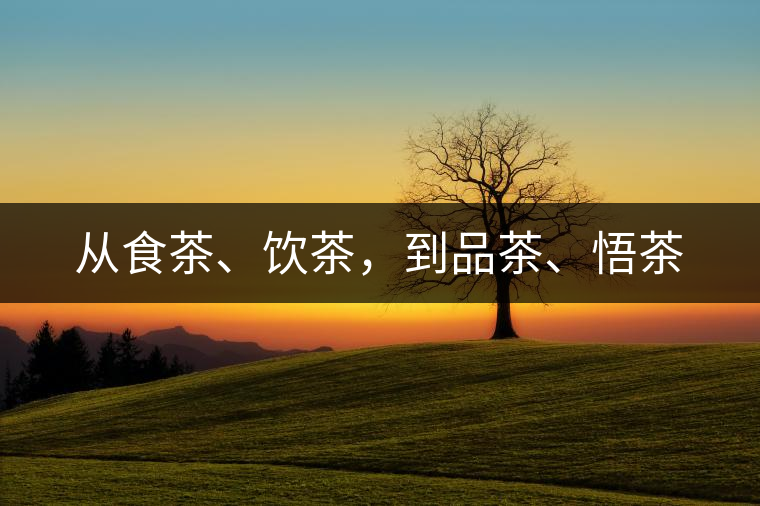 從食茶、飲茶，到品茶、悟茶