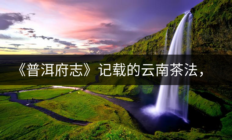 《普洱府志》記載的云南茶法，歷史上唯一為一種茶量身定制的法律