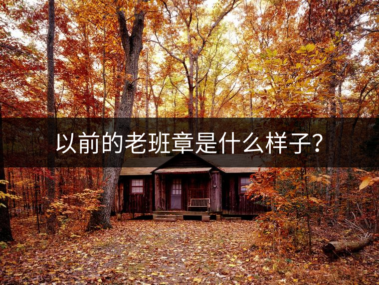 以前的老班章是什么樣子？