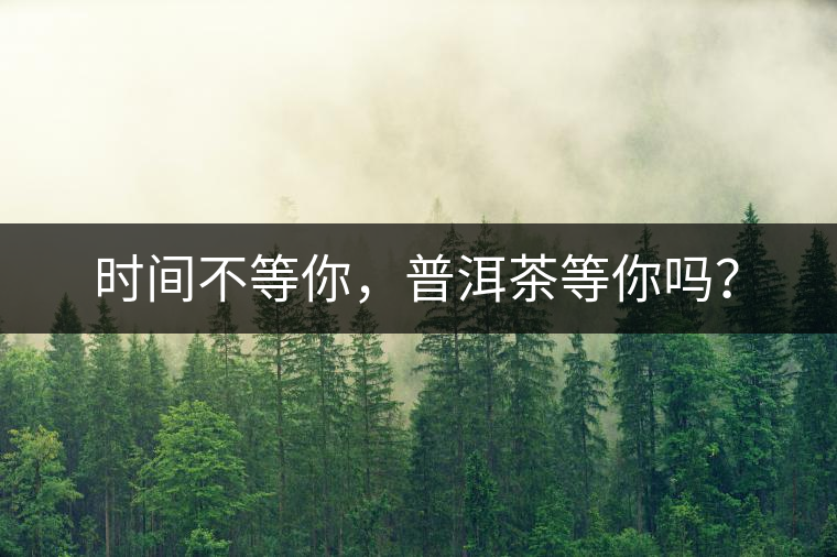 時(shí)間不等你，普洱茶等你嗎？