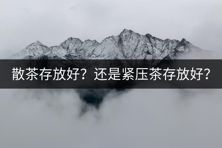 散茶存放好？還是緊壓茶存放好？