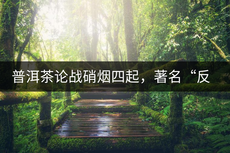 普洱茶論戰(zhàn)硝煙四起，著名“反偽斗士”司馬南有話說(shuō)