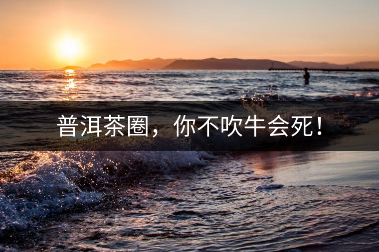 普洱茶圈，你不吹牛會死！