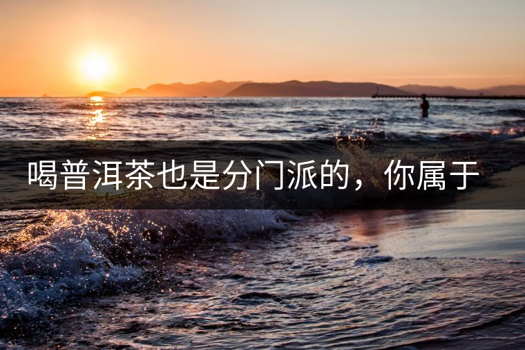 喝普洱茶也是分門派的，你屬于哪派呢？