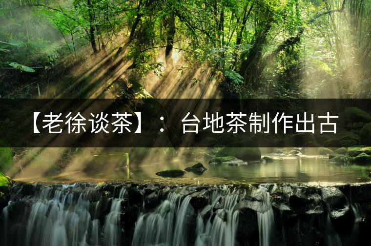 【老徐談茶】：臺地茶制作出古樹茶口感？只需一招，輕松騙過你 ?