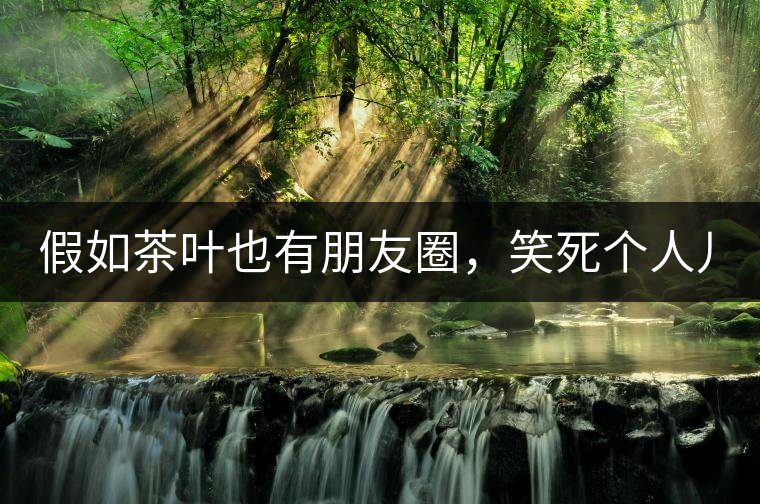 假如茶葉也有朋友圈，笑死個人兒...