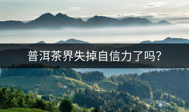 普洱茶界失掉自信力了嗎？