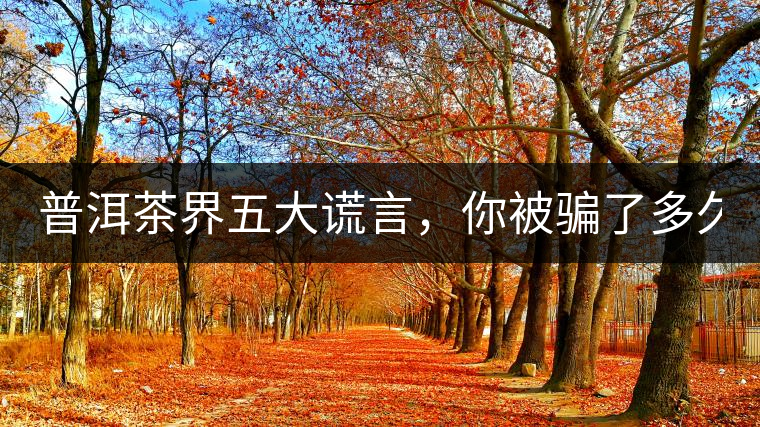 普洱茶界五大謊言，你被騙了多久？