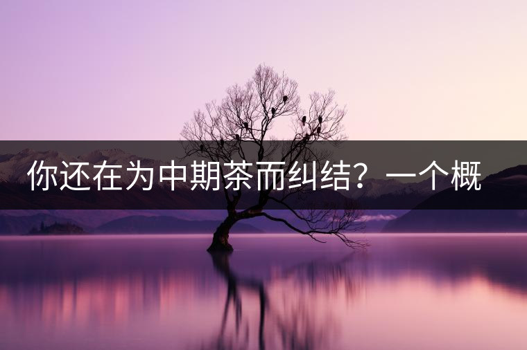 你還在為中期茶而糾結(jié)？一個概念罷了