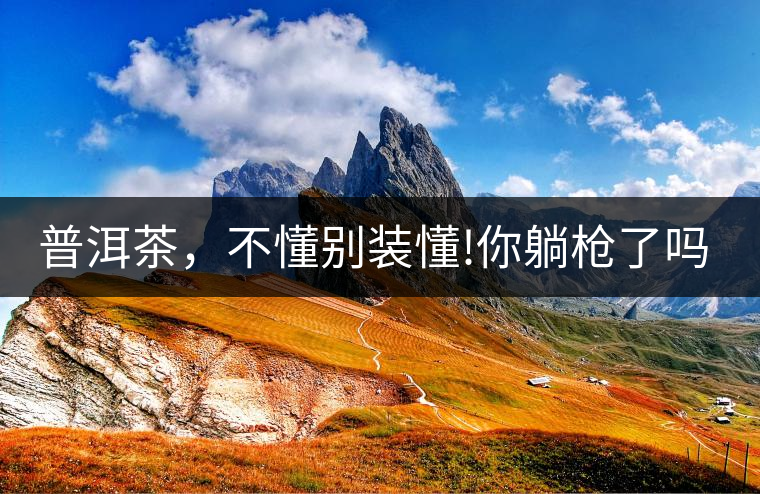 普洱茶，不懂別裝懂!你躺槍了嗎?