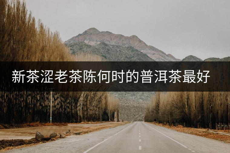 新茶澀老茶陳何時的普洱茶最好喝